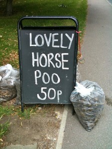 Lovely horse poo